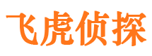 岱岳婚外情调查